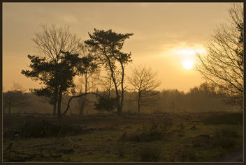 Stay with me 'till dawn - Free image #286117